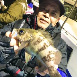 ヤザワ渡船 釣果