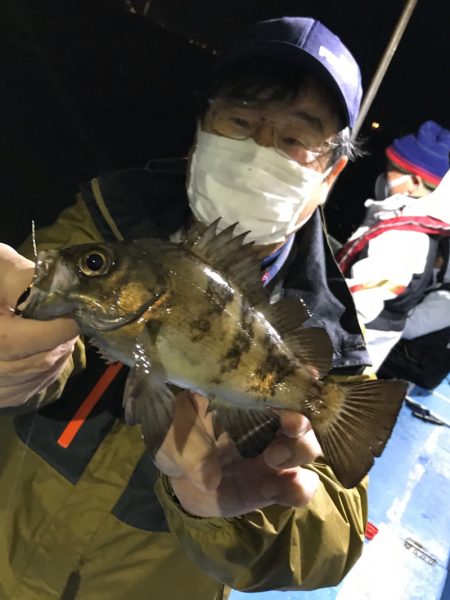 ヤザワ渡船 釣果