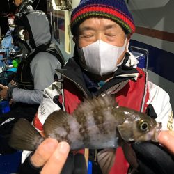 ヤザワ渡船 釣果