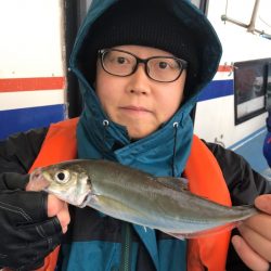 ヤザワ渡船 釣果