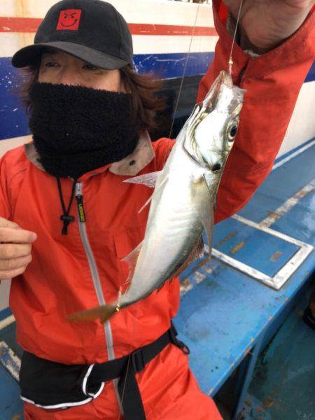 ヤザワ渡船 釣果