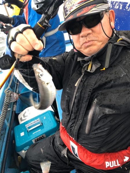 ヤザワ渡船 釣果