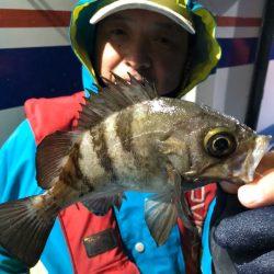 ヤザワ渡船 釣果