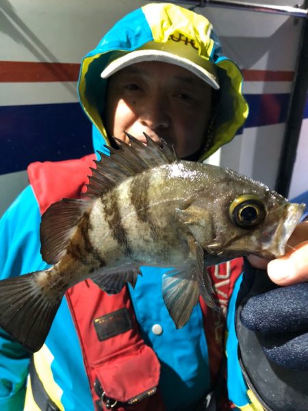 ヤザワ渡船 釣果