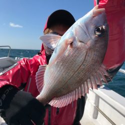 ランスルー 釣果