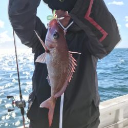 ランスルー 釣果