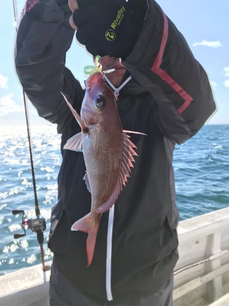 ランスルー 釣果