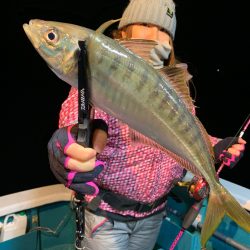 愛海丸 釣果