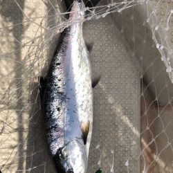 海友丸 釣果