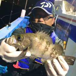 ヤザワ渡船 釣果