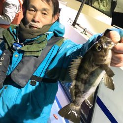 ヤザワ渡船 釣果