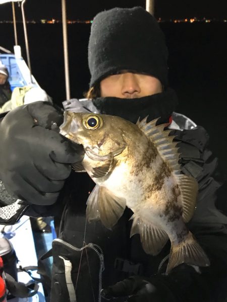 ヤザワ渡船 釣果