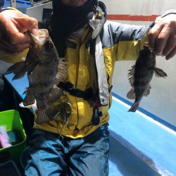 ヤザワ渡船 釣果