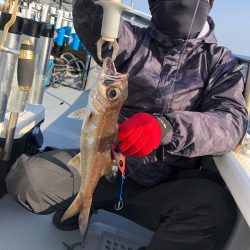 ＴＡＲＯＭＡＲＵ 釣果