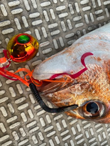龍神丸(鹿児島) 釣果