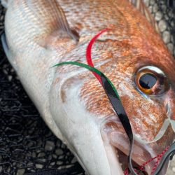 龍神丸(鹿児島) 釣果