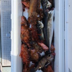 フィッシング キッタカ 釣果