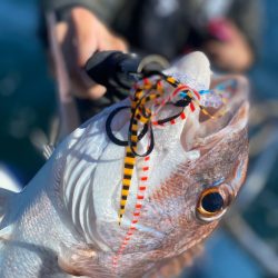 龍神丸(鹿児島) 釣果