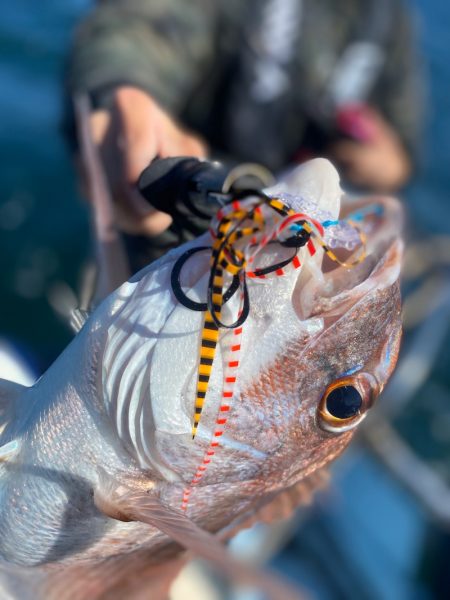 龍神丸(鹿児島) 釣果