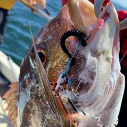 龍神丸(鹿児島) 釣果