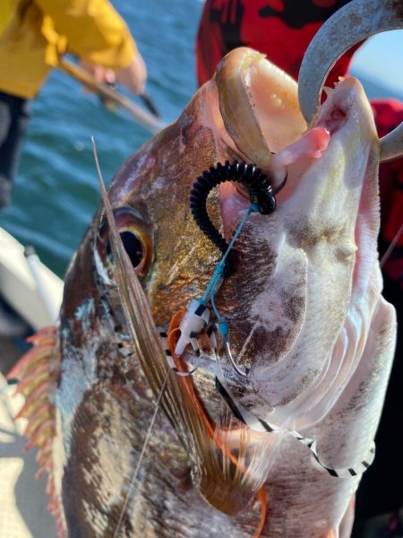龍神丸(鹿児島) 釣果