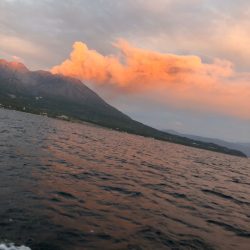 龍神丸(鹿児島) 釣果