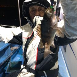 ヤザワ渡船 釣果