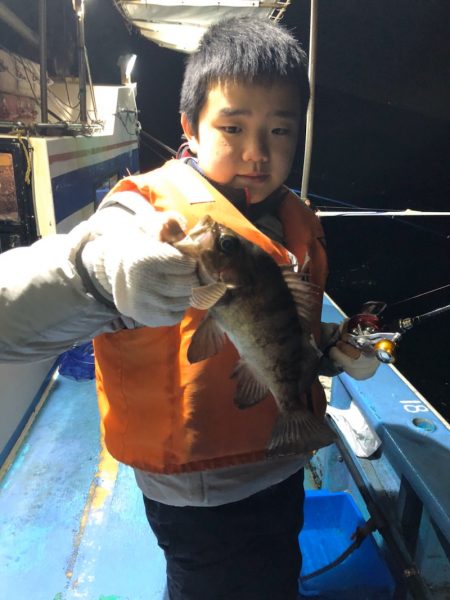 ヤザワ渡船 釣果