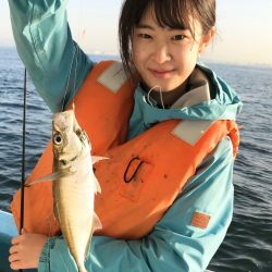 ヤザワ渡船 釣果