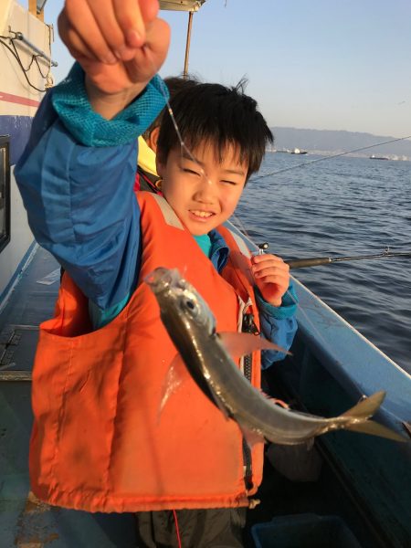 ヤザワ渡船 釣果