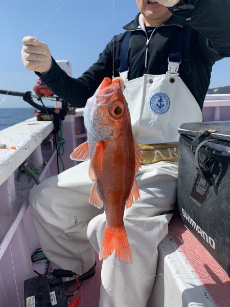 晃山丸 釣果