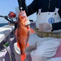 晃山丸 釣果