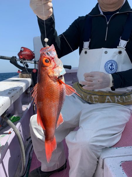 晃山丸 釣果