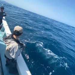 あみや渡船 JIGBOY 釣果