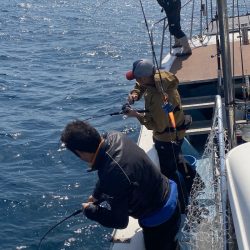 あみや渡船 JIGBOY 釣果