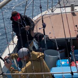 あみや渡船 JIGBOY 釣果