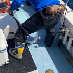 あみや渡船 JIGBOY 釣果