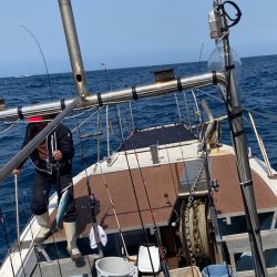 あみや渡船 JIGBOY 釣果