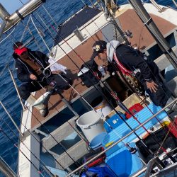 あみや渡船 JIGBOY 釣果