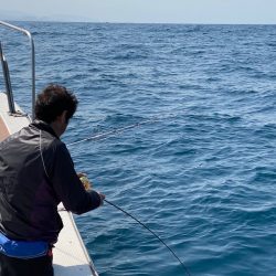 あみや渡船 JIGBOY 釣果