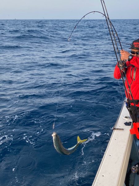 あみや渡船 JIGBOY 釣果