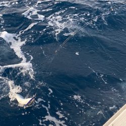 あみや渡船 JIGBOY 釣果