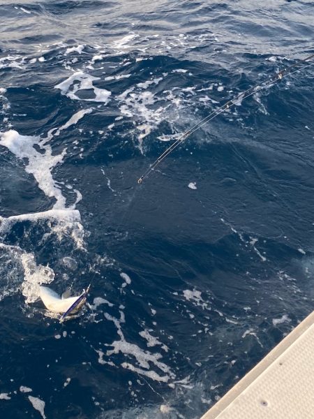 あみや渡船 JIGBOY 釣果