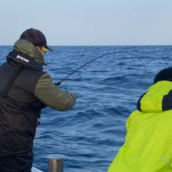 あみや渡船 JIGBOY 釣果