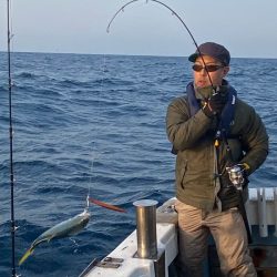 あみや渡船 JIGBOY 釣果