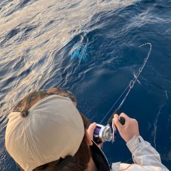あみや渡船 JIGBOY 釣果
