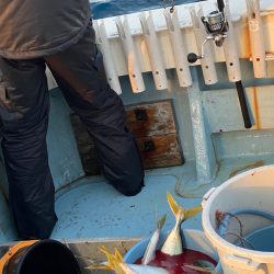 あみや渡船 JIGBOY 釣果