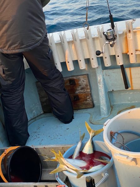 あみや渡船 JIGBOY 釣果