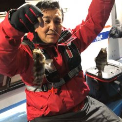 ヤザワ渡船 釣果