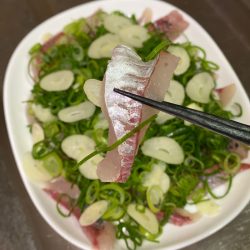 釣人家 釣果